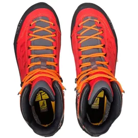 Salewa Rapace GTX Herren Bergrot/Holland 40,5