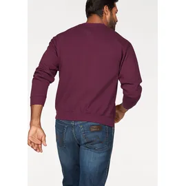 FRUIT OF THE LOOM Sweatshirt, im unifarbenen Design, rot