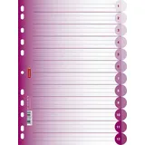 Brunnen Ringbuchregister DIN A4 12-teilig Pink