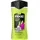 Axe 3in1 Duschgel Epic Fresh 250 ml