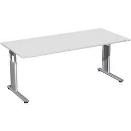 Geramöbel Schreibtisch Flex lichtgrau