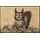 Wash+Dry Squirry 50 x 75 cm Mehrfarbig