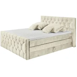 Boxspringbett  Cashfield ¦ creme ¦ Maße (cm): B: 200 H: 113