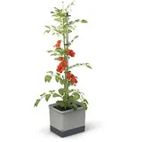 Gusta Garden Tom Tomato 20 L hellgrau