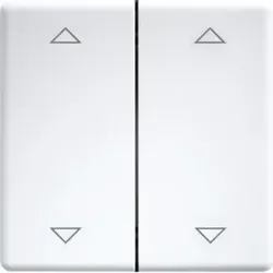 Eltako Doppelwippe lasergraviert f.55x55mm rws DW-FT55-rw+2P