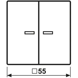 Jung Taster 2fach BT A 17102 P WW