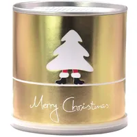 Ein MacFlowers Tannenbaum in der Dose, Goldene Weihnachten, Saatgut aus frischer Ernte, Exklusiv & Nachhaltig Geschenk Set für Frauen und Männer, Adventskalender Füllung Wichteln