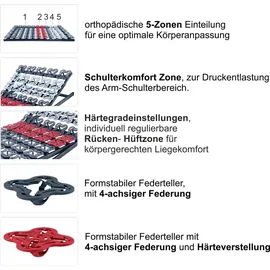 Matratzen Perfekt Tellerlattenrost T-Flex verstellbar 100 x 200 cm