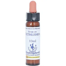 Bach Equipment BACHBLUETEN Star of Bethlehem Healing Herbs