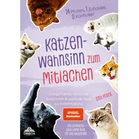 Orbita media gmbh Katzen-Wahnsinn zum Mitlachen