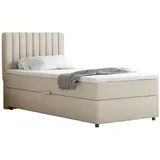panda möbel EVEREST 90 x 200 cm Beige