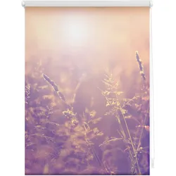 Lichtblick Rollo Klemmfix, ohne Bohren, blickdicht, Sommerabend - Orange