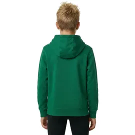 Nike Park 20 Fleece Hoodie Kinder pine green/white S 128-137 cm