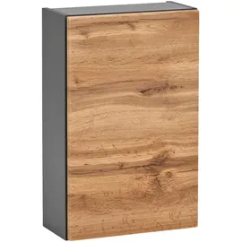 Held MÖBEL Hängeschrank »Lucca«, BxHxT: 40 x 64 x 20 cm - bunt