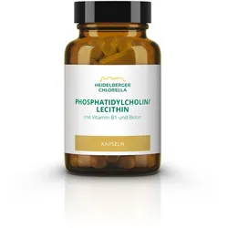Phosphatidylcholin/lecithin Phospholipid 60 St