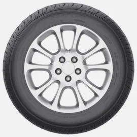 Fortune FSR-303 315/35 R20 110Y XL
