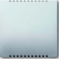 BUSCH-JAEGER Zentralscheibe eds 6541-866