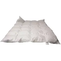 Betten Hofmann Daunendecke 135x200 Ganzjahr Canada Kassetten Bettdecke Daunen Ganzjahresdecke, 100% Baumwolle, für Allergiker, Schlafdecke mit Füllgewicht 1000 g