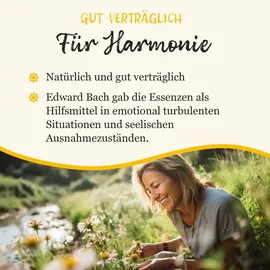 Klosterfrau Bachblüten Murnauers Konzentrier Dich Globulini 10 g