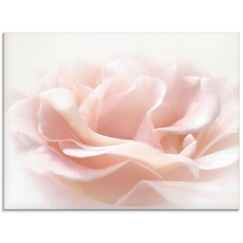 Artland Glasbild »Rose I«, Blumen, (1 St.), pink