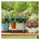 casativo-garden 3in1 Pflanzenerde Messgerät