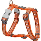 Red Dingo Hundegeschirr Knochen Reflektierend 30-48 cm Orange (Hund, Spazieren), Halsband + Leine