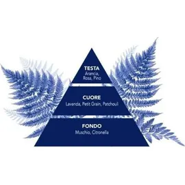 Felce Azzurra Classico 650 ml