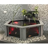 Lily Clear View Garden Aquarium Sechseckiger Teich, Hellgrau