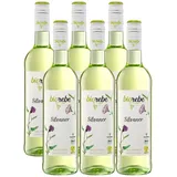 BIOrebe Silvaner Qualitätswein, 750ml