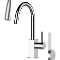 VIZIO Wasserhahn Einhebelmischer Silber