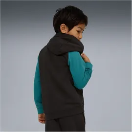 Puma Hoodie Black 116