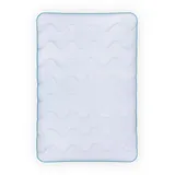 BestLivings 4 Jahreszeitenbett mit blauer Biese - 240cm x 260 cm