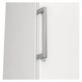 Gorenje FN619EEW5