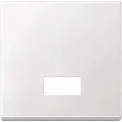 Merten Wippe Symbol Fenster pws rechteckig 434819