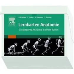 Lernkarten Anatomie