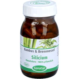 Sanatur GmbH Silicium Kieselsäure 100% pflanzlich
