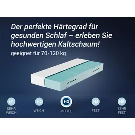 Betten-ABC HR Blue 7-Zonen 90 x 200 cm mittelfest