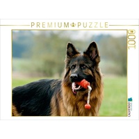 Calvendo Deutscher Schäferhund Puzzle