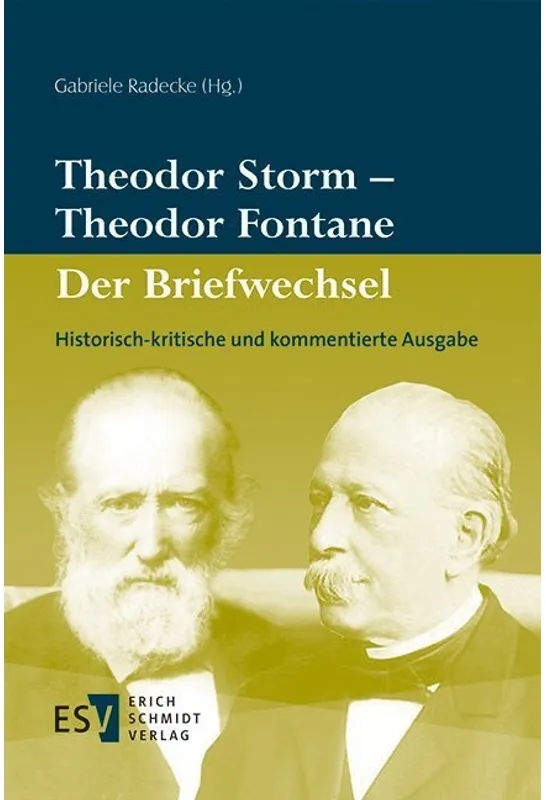 Theodor Storm - Theodor Fontane -  - Der Briefwechsel - Theodor Storm, Theodor Fontane, Kartoniert (TB)