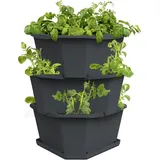 Gusta Garden Paul Potato Starter 3 Etagen