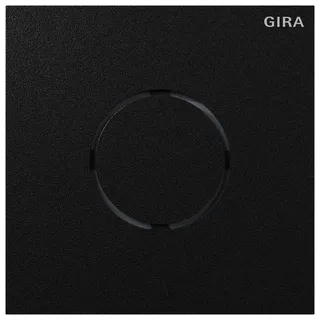 Gira Sprachmodul System sw 5563925