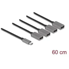 DeLock 64210 Schnittstellen-Hub USB 2.0 Type-C 480 Mbit/s Schwarz -