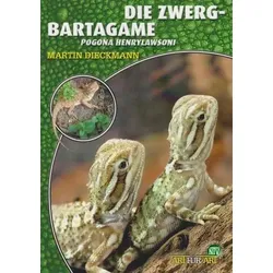 Die Zwergbartagame