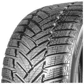 Dunlop SP Winter Sport 3D 225/55 R17 97H