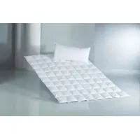 fan f.a.n. frankenstolz Sommerbettdecke Daune 135 x 200 cm Baumwolle Weiß