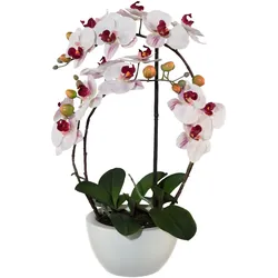 Kunstpflanze CREATIV GREEN "Phalaenopsis", rosa, H:52cm, Kunststoff, Kunststoff, Keramik, Kunstpflanzen