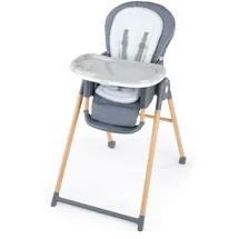 Ingenuity Proper Positioner Deluxe Multicolor inkl. Tray
