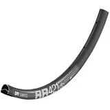 DT Swiss RR 421 Disc 32 Loch,