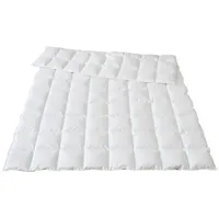 Traumina Plume Bio Daune Einziehdecke WK2 - 155x220cm