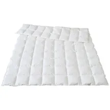 Traumina Plume Bio Daune Einziehdecke WK2 - 155x220cm